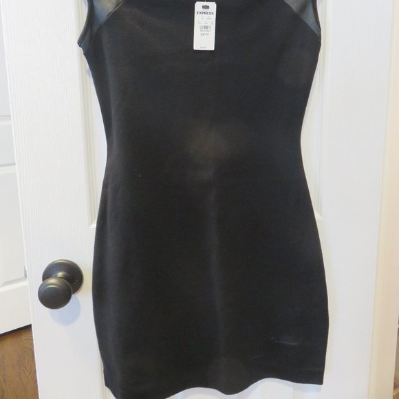Express Dress - Picture 2 of 4
